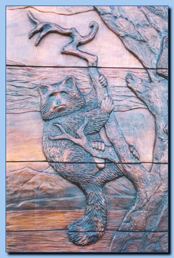 2-11 raccoon in carved door-archive-0003